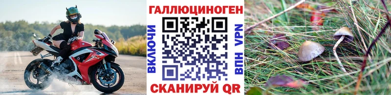 Галлюциногенные грибы GOLDEN TEACHER  Купить закладки  Северобайкальск 